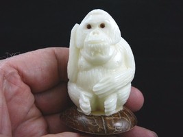 (tne-ape-OR-312) ORANGUTAN monkey ape TAGUA NUT palm nuts figurine carvi... - $27.20