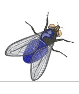 fly Machine Embroidery Design - $4.47