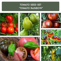 Tomato Rainbow Seed Collection - Unique Heirloom Varieties, Home Garden Starter, - £24.44 GBP