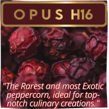 OPUS h16 Most Exotic Peppercorn by Yupanqui Family, 8.8oz Refill - $79.00