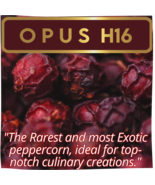 OPUS h16 Most Exotic Peppercorn by Yupanqui Family, 8.8oz Refill - £62.14 GBP