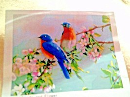 DIY Paint By Number Kit Lovebirds &amp; Flowers 16&quot; x 20&quot; Canvas - £7.04 GBP