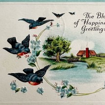 Bluebirds Victorian Greeting Card Postcard 1900-1910s Embossed PCBG11B - £15.95 GBP