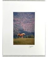 Appalachian Mountain Horse Mountains by Barry Jackson Fine Art Photograp... - $15.55 CAD