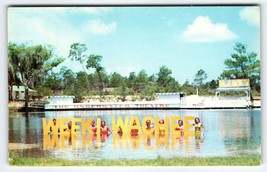 Weeki Wachee Florida Postcard Spring Of The Mermaids Water Acrobats Pose Chrome - $13.05