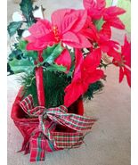 Fake Plant, Christmas Season - $29.70