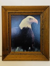 American Bald Eagle Print Art Decor In Rustic Vintage Wood Frame 13.5&quot;X 11.5&quot; - £38.91 GBP