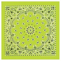 BANDANA PAISLEY LT GRN - $11.30