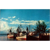 Vintage Chrome Florida Postcard, Shrimp Boats Along the Coast, Unposted ... - $14.52