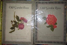 Old Garden Roses [Hardcover] Sitwell, Sacheverell, James Russel and Wilf... - £66.43 GBP