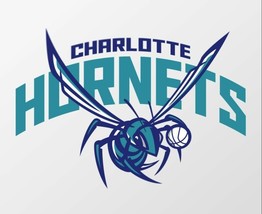 Charlotte Hornets Flag 3x5ft Banner Polyester Basketball hornets003 - $20.00