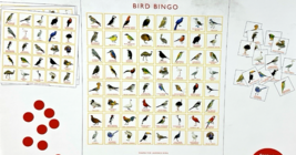 BIRD BINGO Game Illustrated by Christine Berrie Magma For Laurence King - NEW image 4