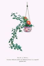 Uno-Hana and Shakuyaku (Scabra &amp; Herbaceous Peony) in a suspended porcelain bowl - £16.44 GBP+