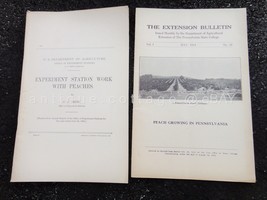 LOT 1914 antique 2 PEACH GROWING us dept agriculture books bulletin fruit tree - £50.45 GBP