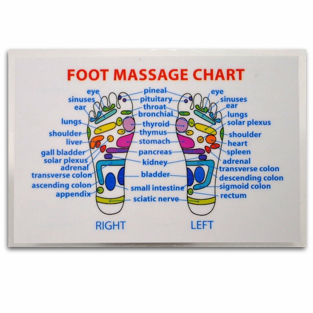 Primary image for REFLEXOLOGY FOOT MASSAGE WALLET SIZE REFERENCE CARD Chart Pocket Acupressure