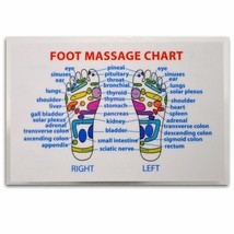 REFLEXOLOGY FOOT MASSAGE WALLET SIZE REFERENCE CARD Chart Pocket Acupres... - $7.95