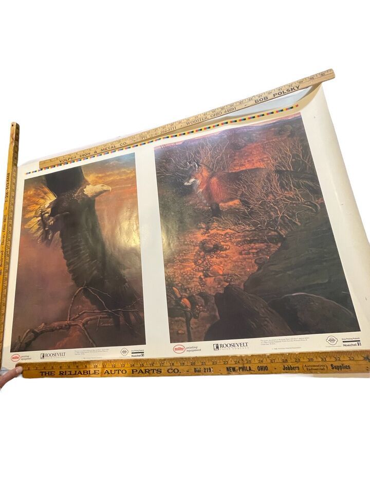 Bald Eagle Red Fox Poster Roosevelt Paper Miller Printing ENCO Hoechst