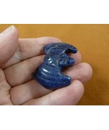 Y-BAT-575 little blue Sodalite BAT bats flying Chiroptera gem gemstone s... - €17,17 EUR Y-BAT-575 little blue Sodalite BAT bats flying Chiroptera gem gemstone s... - €17,17 EUR