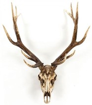 Wall Decor Art Deer Skull Animal Chestnut Poly Resin - £782.42 GBP