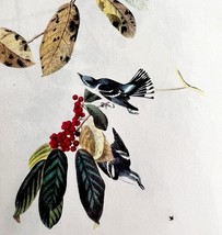 Cerulean Warbler Bird Lithograph 1950 Audubon Antique Art Print DWP6A - $562.94 MXN