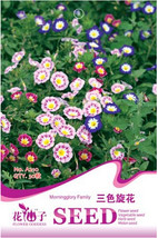 New Fresh Convolvulus Tricolor Dwarf Morning Glory Seeds Pack 30 Seeds /... - $5.73