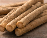 Burdock Seeds, Gobo Takinogawa, Beggar’s Buttons, NON-GMO, FREE SHIPPING - $1.77+