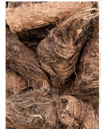  Ferula hermonis shersh zallouh Root Dried Organic 100gr (3.52 oz)  - $642.04 MXN