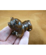 (Y-DOG-EB-713) Tiger&#39;s eye BULLDOG bull dog carving FIGURINE gem stone l... - €21,32 EUR