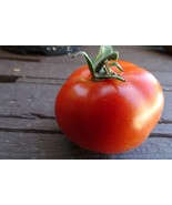 Corazon salad  tomato - a heart-shaped tomato you will fall in love with! - $5.95