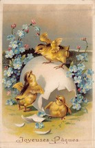 Joyeuses PAQUES-CHICKS From Broken EGG~1912 Happy Easter Postcard - £7.14 GBP
