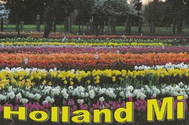 Postcard Holland Michigan Tulips Field Veldheer&#39;s Farm Unused - £4.64 GBP