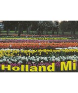 Postcard Holland Michigan Tulips Field Veldheer&#39;s Farm Unused - £4.67 GBP