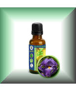 Orris Root Absolute Oil (Iris Florentine, Europe) - €8,54 EUR+