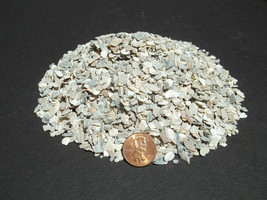Crushed Oyster Shell Medium Dyna Rock Cactus Cacti Seedling Soil Media 20 Lb Bag - £35.96 GBP