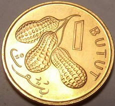 Edelstein UNC Gambia 1998 1 Butut ~ Cluster Von Peanuts ~ Fantastisch - £2.45 GBP