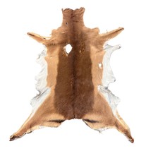 Impala Skin - Real African Impala Antelope Hide 2nd Grade Skin - $48.51