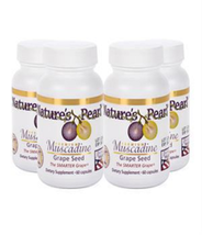 Premium Muscadine Grape Seed 4 Ct by Youngevity Dr. Wallach - £102.76 GBP