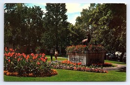 Postcard Hershey Pennsylvania, Chocolate Town USA Park Entrance - £2.95 GBP