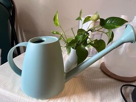 Garden Watering Can for Indoor House Plants Long Spout 1.8L 60oz 1/2 Gallon - $25.09 CAD
