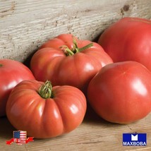 Tomato Seeds German Johnson Heirloom Vegetable Non-Gmo Garden Usa Shipping - $8.30