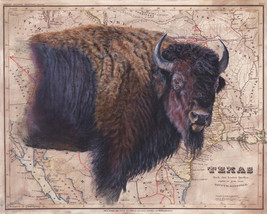 Bison Map by Patty Pendergast Buffalo Bison Texas Wildlife Animals Canvas 32x40 - £315.75 GBP