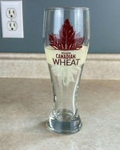 Molson Canadian 12 Fluid Oz  Wheat Maple Leaf Logo Draft Beer Glass   - £7.78 GBP