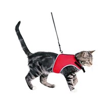 Trixie Adjustable Cat Harness with Lead, 1.20 m  - £20.28 GBP