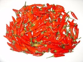 Tabasco Pepper Seeds Pepper Sauce Hot Popular Prolificcontainer Choice Garden Fr - $13.78