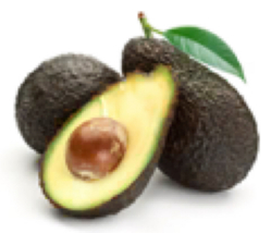 Avocado ‘Stewart’ grafted plant, Primo Size 18”-36” tall, “A” type - $135.00