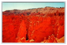 Bryce Canyon National Park, Utah A Scene From Sunset Point Postcard Unposted - £3.90 GBP