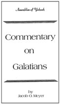 Commentary on Galatians [Paperback] Jacob O. Meyer - £5.13 GBP