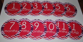Girls monthly baby stickers. bodysuit month stickers - £6.37 GBP