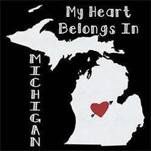 Michigan mens t-shirt  cool states  tshirt homeland home state city  t-shirts ho - £15.94 GBP