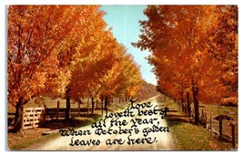 Phoenicia New York Autumn Postcard - $52.28